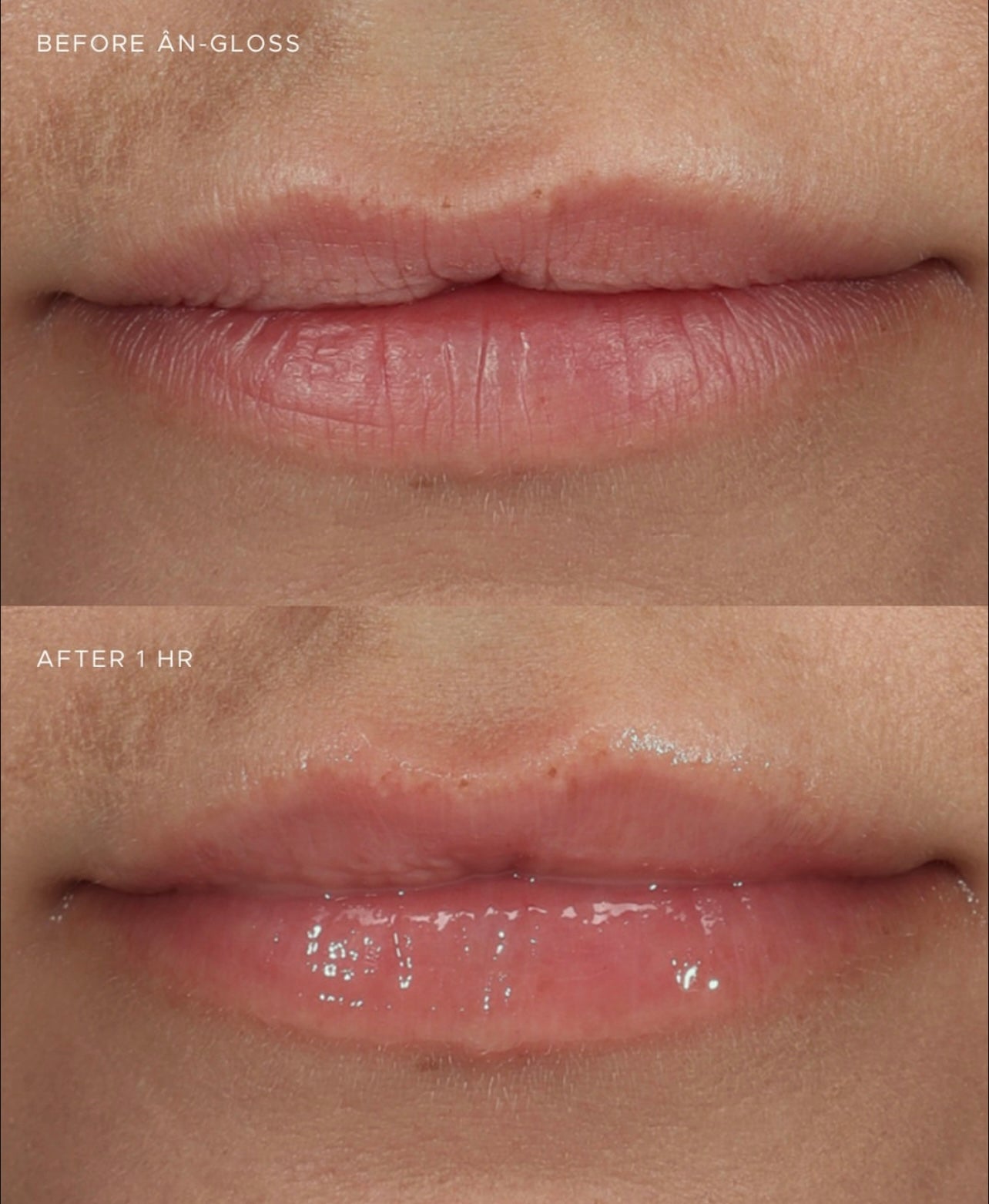 ÂN-GLOSS Ceramide Lip Treatment (Sheer)